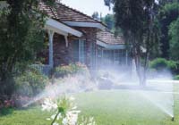 Garten 1