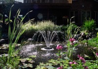 Springbrunnen 1
