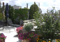 Terrasse 1